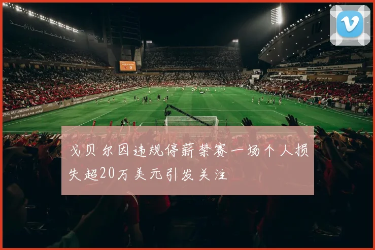 戈贝尔因违规停薪禁赛一场个人损失超20万美元引发关注