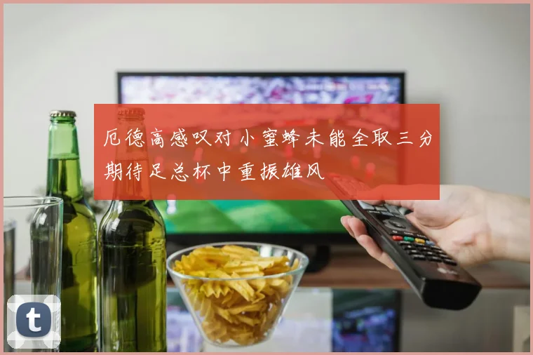 厄德高感叹对小蜜蜂未能全取三分期待足总杯中重振雄风