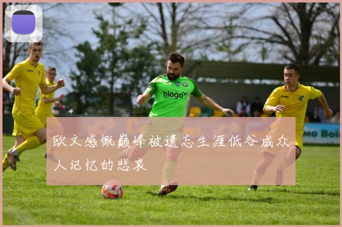 欧文感慨巅峰被遗忘生涯低谷成众人记忆的悲哀